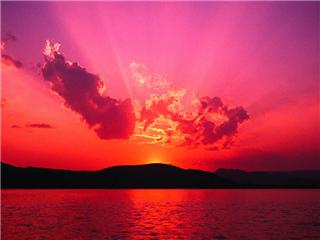 Scenic Sun